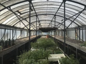 serre-comunali-salsomaggiore-terme-architetto-stefano-pigazzani-interno-serra